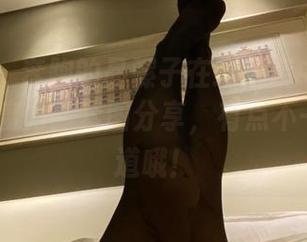 微密圈 – 奔跑的晶骡子在绿色装中的everyday魔力：套图分享，有点不一样的味道哦！