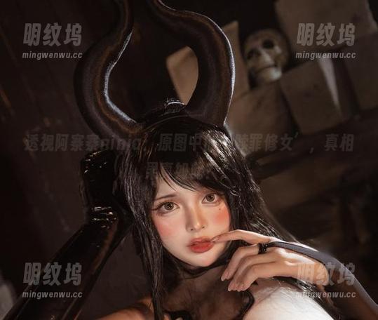 阿寨寨ninja 透视阿寨寨ninja:原图中的‘赎罪修女’,真相果真如此?!