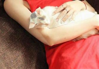 青豆客 – 精选刘奕宁Lynn的旗袍套图:搭配得当,连超市的收银员都会忍不住多看你几眼!